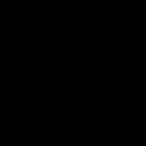 Meet your Posher, Astrid